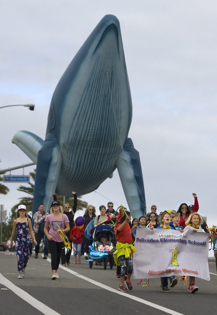 Festival of Whales opens Saturday for two weekends in Dana Point